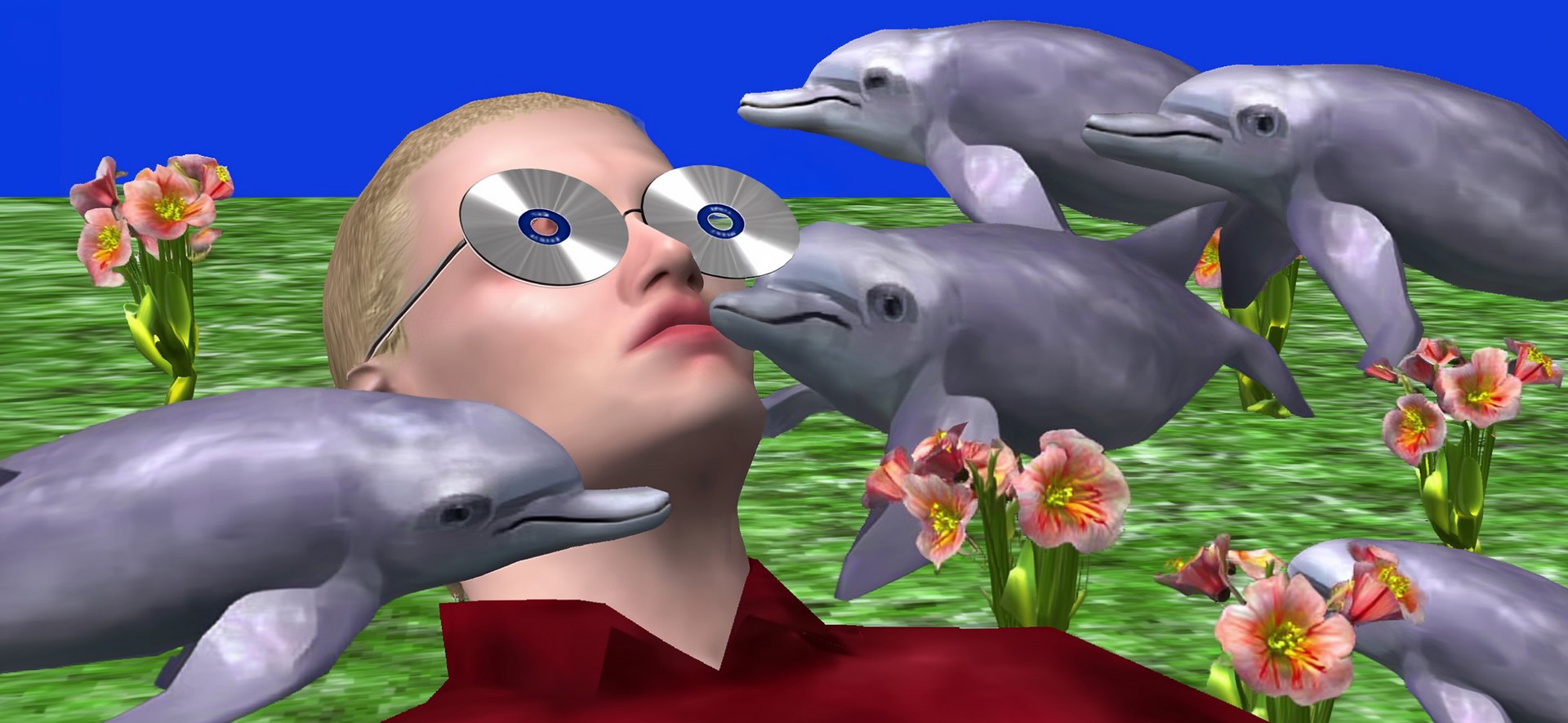 dolphins